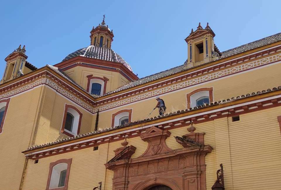 los mejores pintores en sevilla